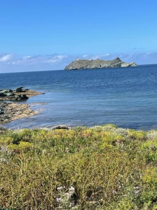 Appartement Tout Confort 2-4 Pers 500 M De La Plage Avec Piscine Et Wifi Santa-Maria-Poggio  Eksteriør bilde