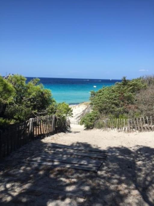 Appartement Tout Confort 2-4 Pers 500 M De La Plage Avec Piscine Et Wifi Santa-Maria-Poggio  Eksteriør bilde